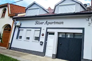 Silver Apartman image