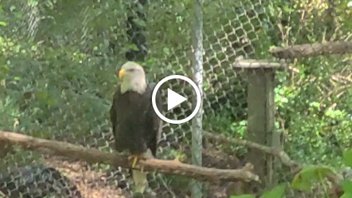 Government Office «Bear Hollow Wildlife Trail», reviews and photos, 293 Gran Ellen Dr, Athens, GA 30606, USA