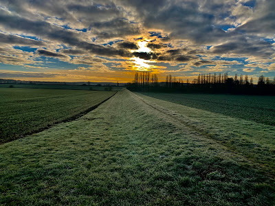 La Plaine de Versailles à Fontenay-le-Fleury