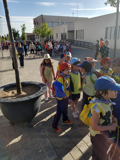 CEIP Don Quijote en Ciudad Real