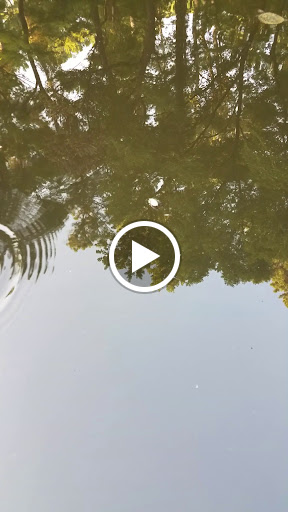 Park «Jesse H. Jones Park & Nature Center», reviews and photos, 20634 Kenswick Dr, Humble, TX 77338, USA