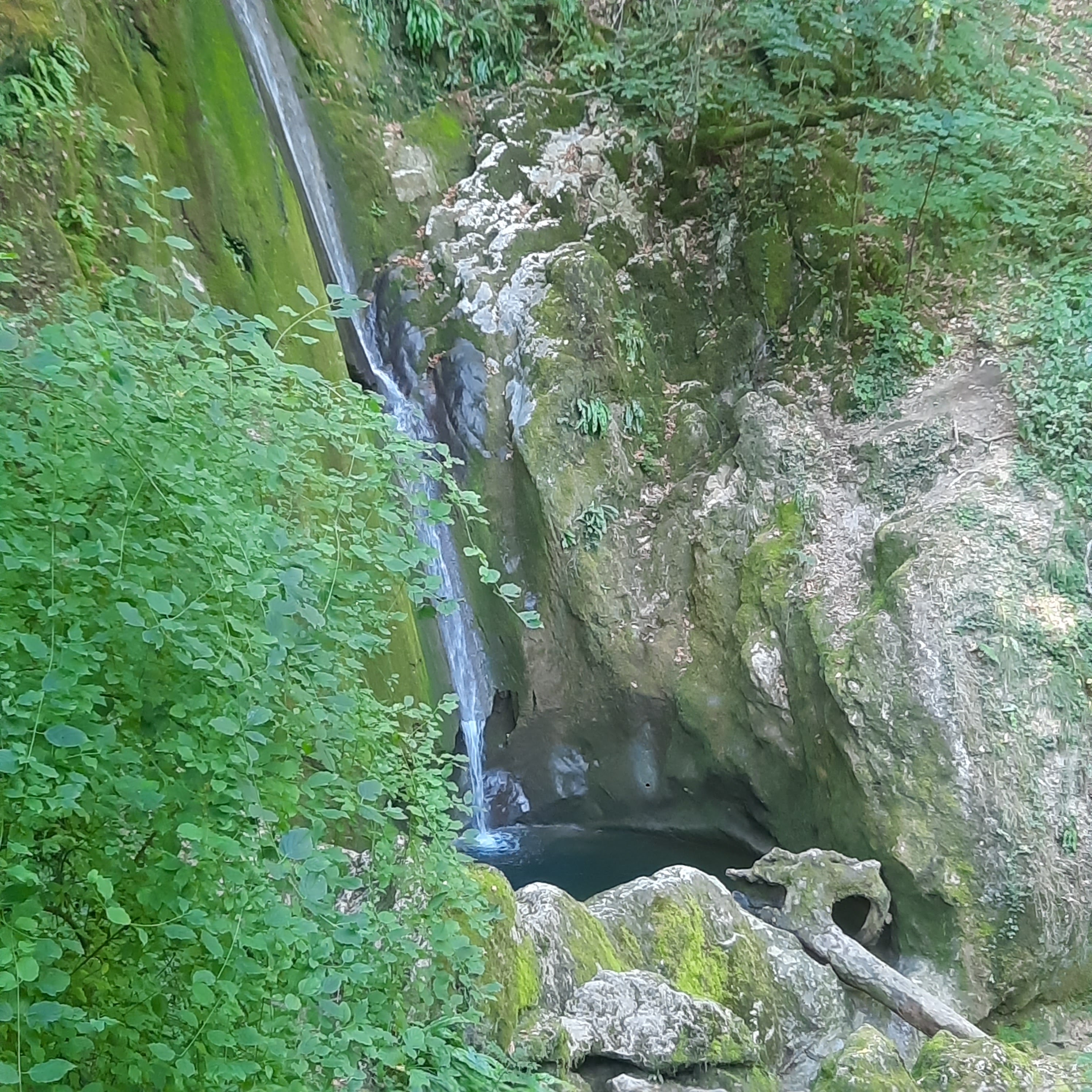 Photo n° 1 de l'avis de Hanus.e fait le 25/07/2022 à 08:30