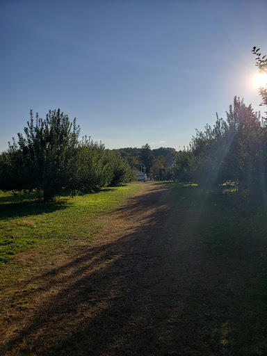 Orchard «Riamede Farm», reviews and photos, 122 Oakdale Rd, Chester, NJ 07930, USA