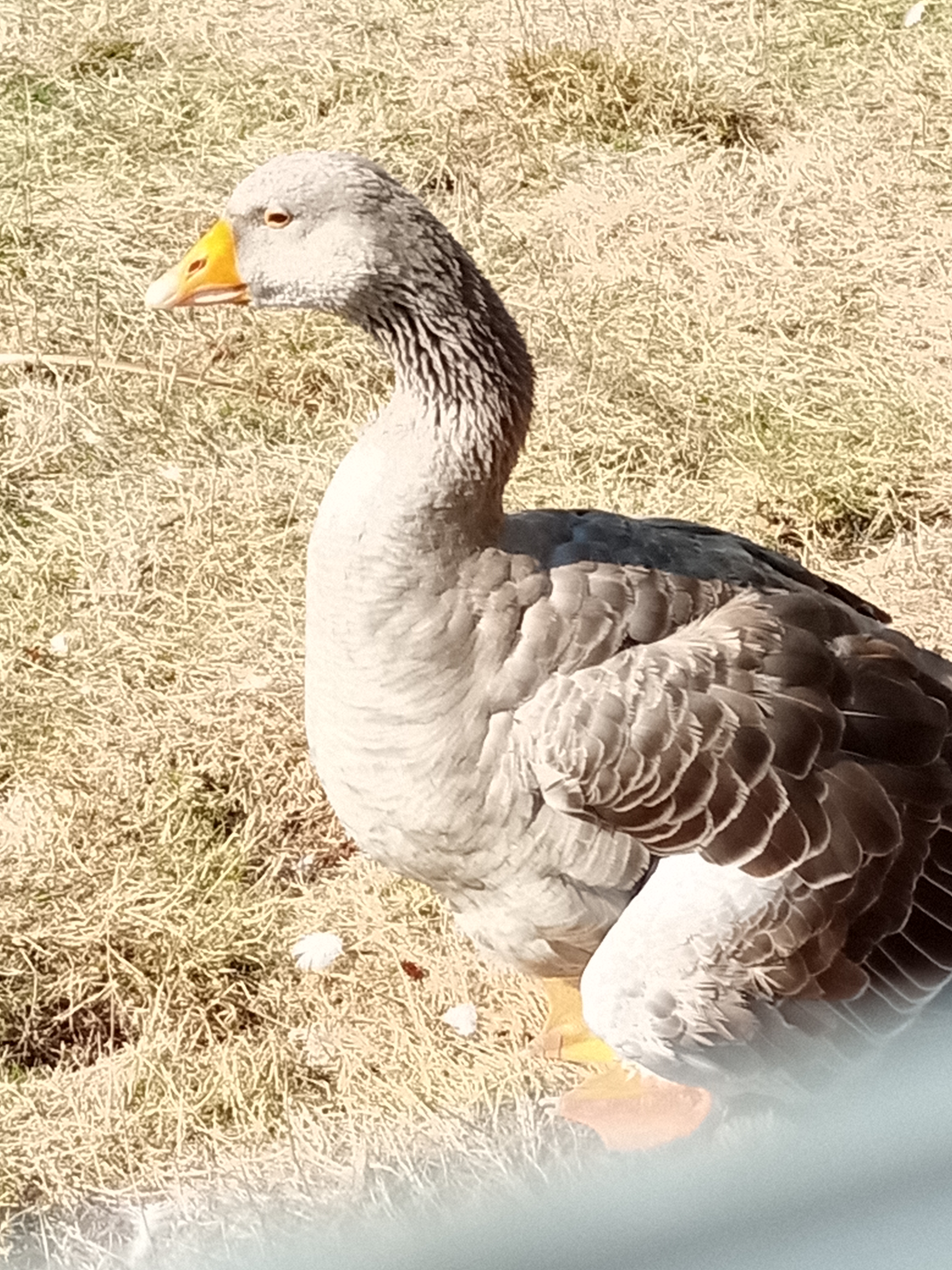 Photo n° 5 de l'avis de Sabrina. fait le 21/09/2020 à 16:35
