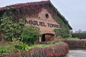 Restaurante de Vinos Miguel Torres image