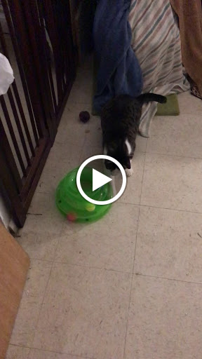 474 Lexington Ave, Mt Kisco, NY 10549, USA