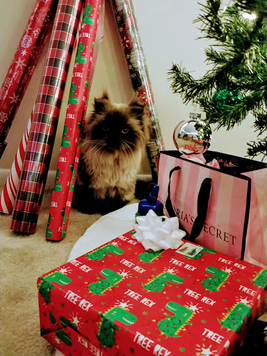 Pet Supply Store «Petco Animal Supplies», reviews and photos, 5239 Harvey St, Norton Shores, MI 49444, USA