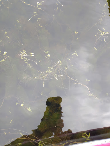 State Park «Myles Standish State Forest», reviews and photos, 194 Cranberry Rd, Carver, MA 02330, USA