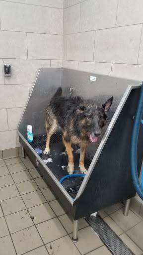 Pet Supply Store «Pet Supplies Plus», reviews and photos, 7041 Barker Cypress Rd, Cypress, TX 77433, USA