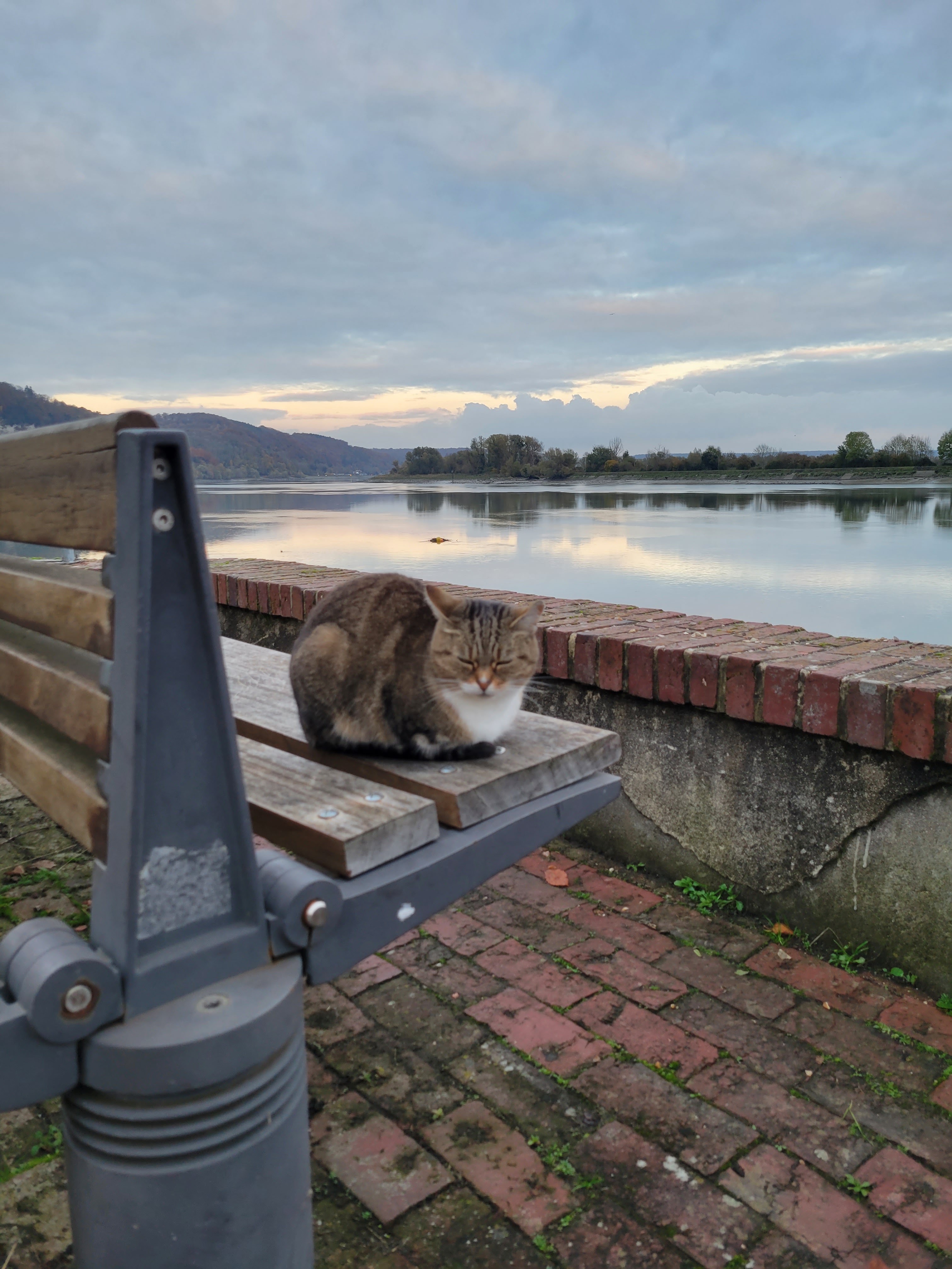 Photo n° 6 de l'avis de Laurent.u fait le 16/11/2021 à 13:31