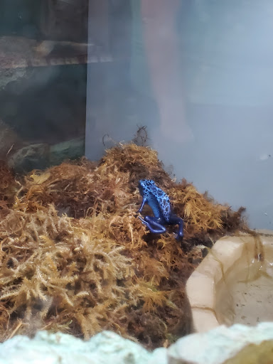 Pet Supply Store «Petco Animal Supplies», reviews and photos, 3270 N Pleasantburg Dr, Greenville, SC 29609, USA