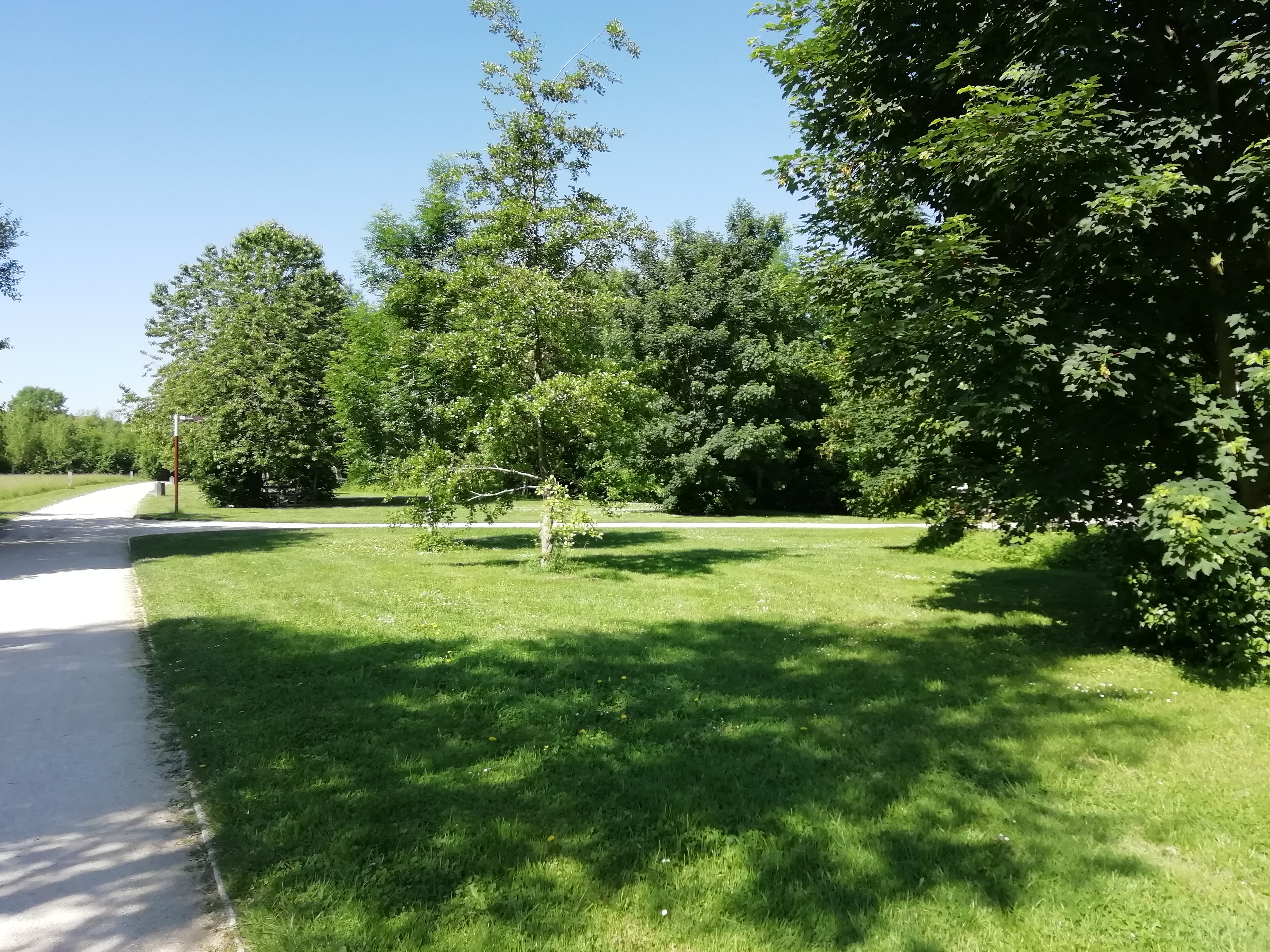 Photo n° 4 de l'avis de dada.r fait le 01/06/2019 à 11:10