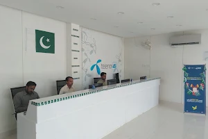 Telenor Franchise image