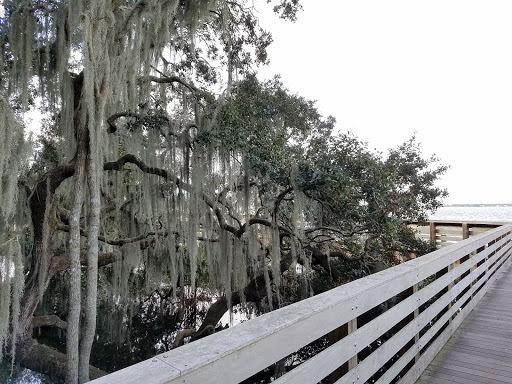 Park «Gilbert Park», reviews and photos, 310 S Tremain St, Mt Dora, FL 32757, USA