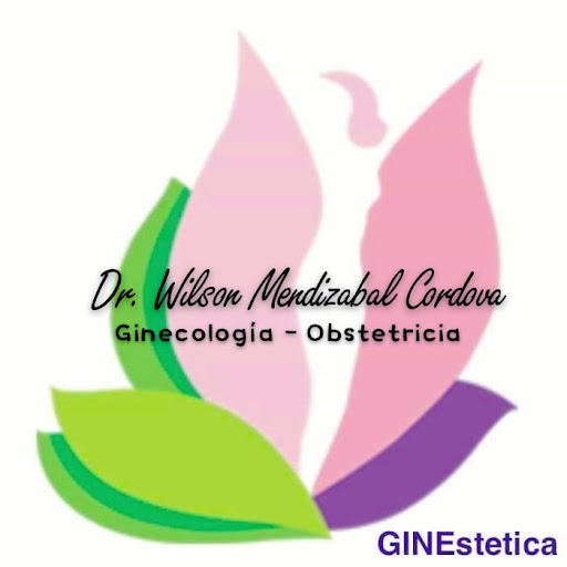 Dr. Wilson Mendizabal Cordova - Ginecologo - Ginecologia La Paz Bolivia