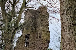 Burg Luttelnau image