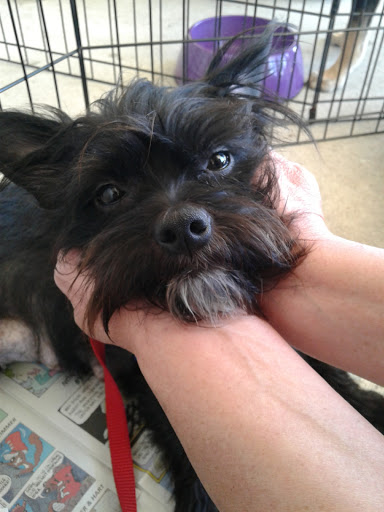 Pet Supply Store «PetSmart», reviews and photos, 1846 N Causeway Blvd B, Mandeville, LA 70471, USA