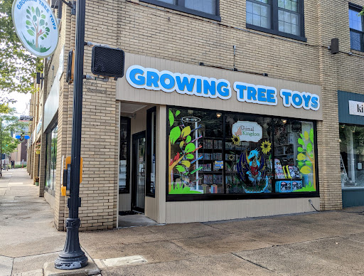 Gift Shop «Growing Tree Toys», reviews and photos, 202 S Allen St, State College, PA 16801, USA