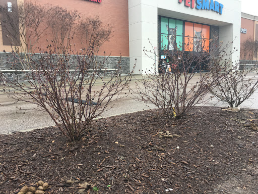 Pet Supply Store «PetSmart», reviews and photos, 11835 Retail Dr, Wake Forest, NC 27587, USA