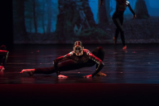 Ballet School «Astrid Audet Academy of Ballet & More», reviews and photos, 6135 N Federal Hwy, Fort Lauderdale, FL 33308, USA