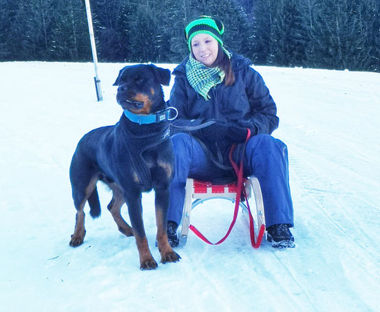 Rezensionen über Souldogz in Freienbach - Hundeschule