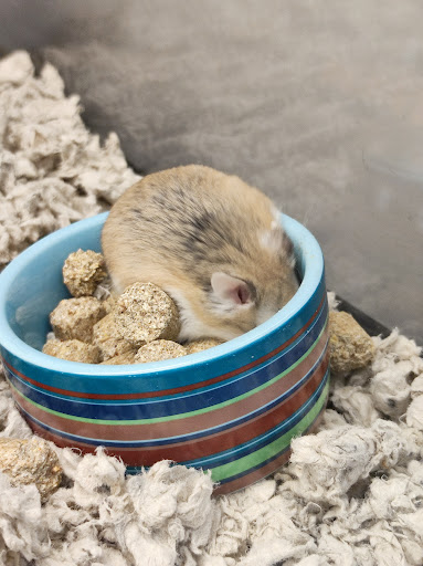 Pet Supply Store «Petco Animal Supplies», reviews and photos, 1255 Raritan Rd #140, Clark, NJ 07066, USA