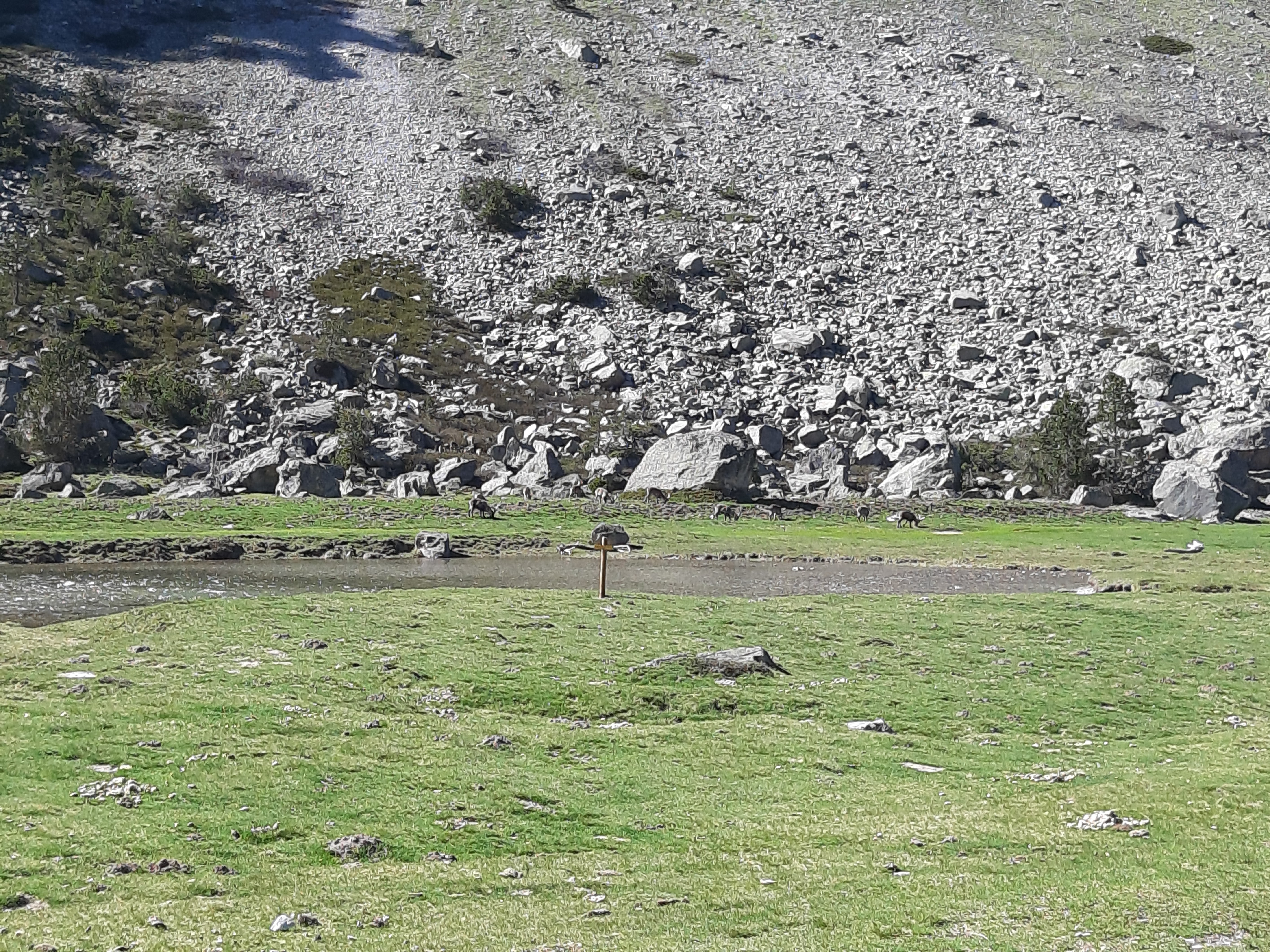 Photo n° 2 de l'avis de Pierre.o fait le 16/05/2019 à 20:44