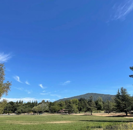 Ensy Afdari - Top Realtor in Santa Clara County - Silicon Valley image