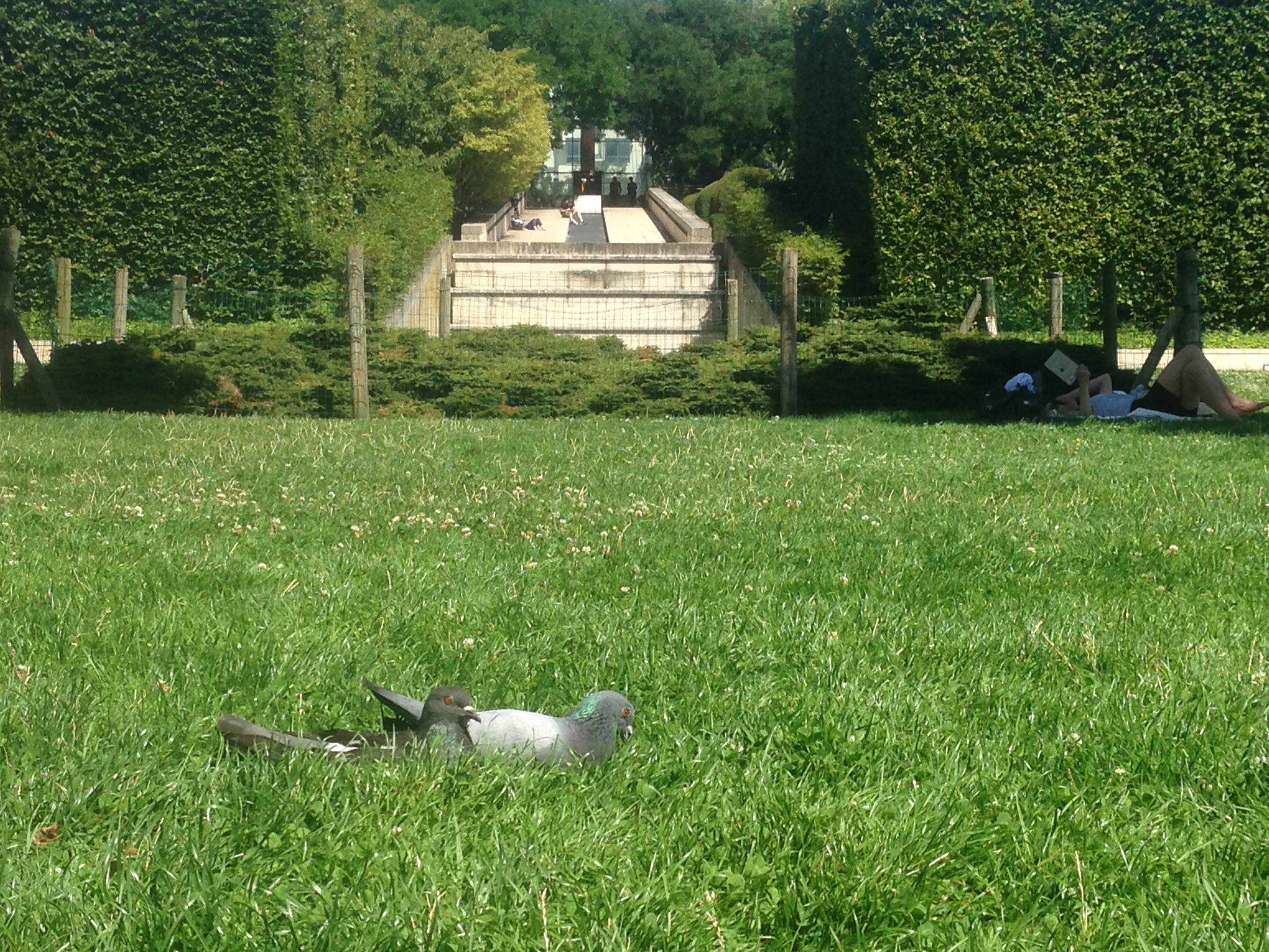 Photo n° 1 de l'avis de Carlos.i fait le 17/03/2017 à 21:11
