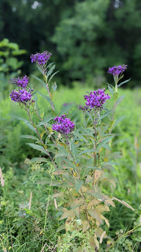 Vineyard «The Winery at Wolf Creek», reviews and photos, 2637 S Cleveland Massillon Rd, Barberton, OH 44203, USA