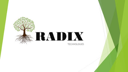 RADIX TECHNOLOGIES