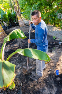 Weeks Landscaping of Ft. Myers, Inc. - Photo 4 - Car repair in , Cape Coral