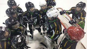 Photo n°6 de Rennes Cormorans Hockey Club à Rennes ()