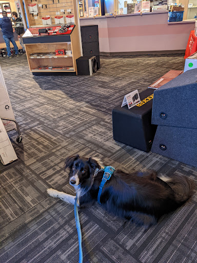 Car Stereo Store «Car Toys», reviews and photos, 12815 Aurora Ave N, Seattle, WA 98133, USA