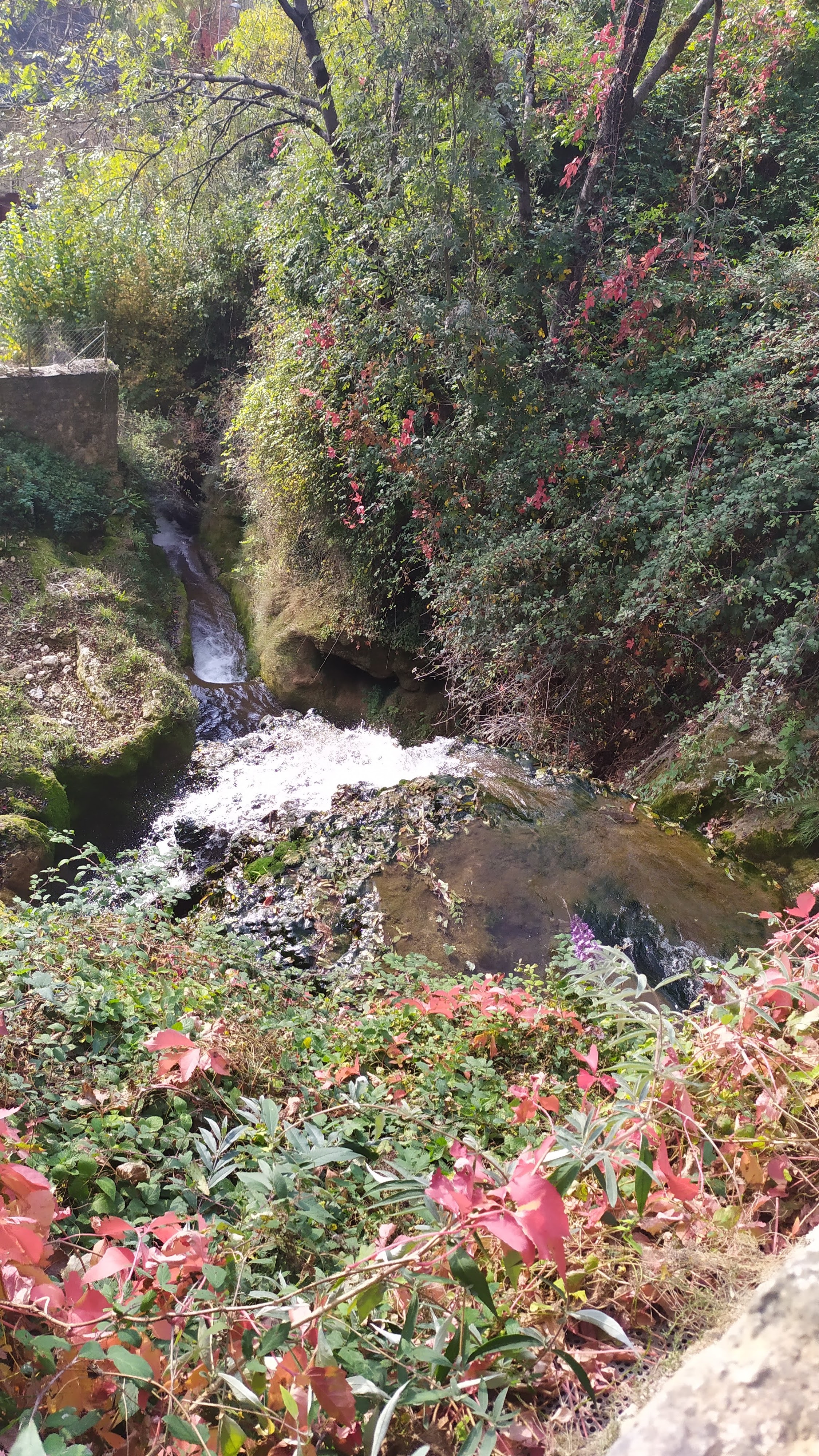 Photo n° 6 de l'avis de Melanie.o fait le 23/10/2021 à 05:50