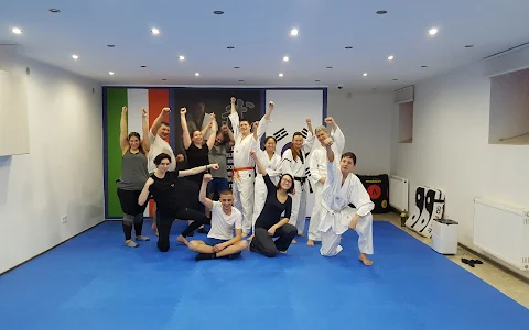 Taekwondo and Kickboxing Organization (TKO) image