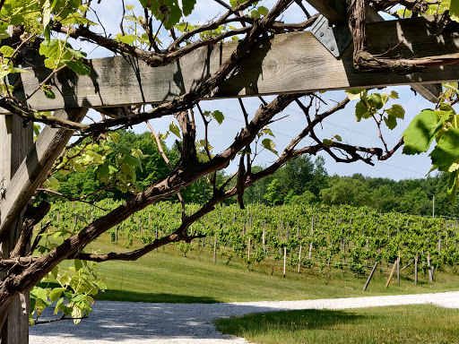 Winery «Oceana Winery & Vineyard», reviews and photos, 4980 S 52nd Ave, New Era, MI 49446, USA