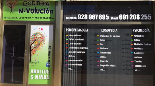 Gabinete N-Volución