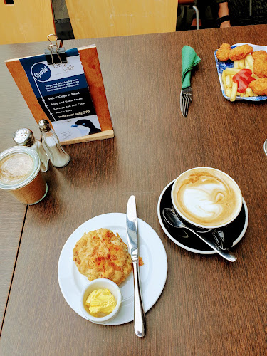 Reviews of Toroa cafe in Dunedin - Restaurant