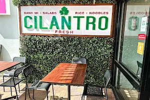 Cilantro Fresh Restaurant image