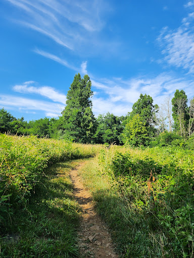 Appalachian Trail Access (Fm Blue Ridge Mtn Rd)