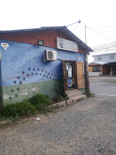 Veterinaria San Francisco - Rancagua