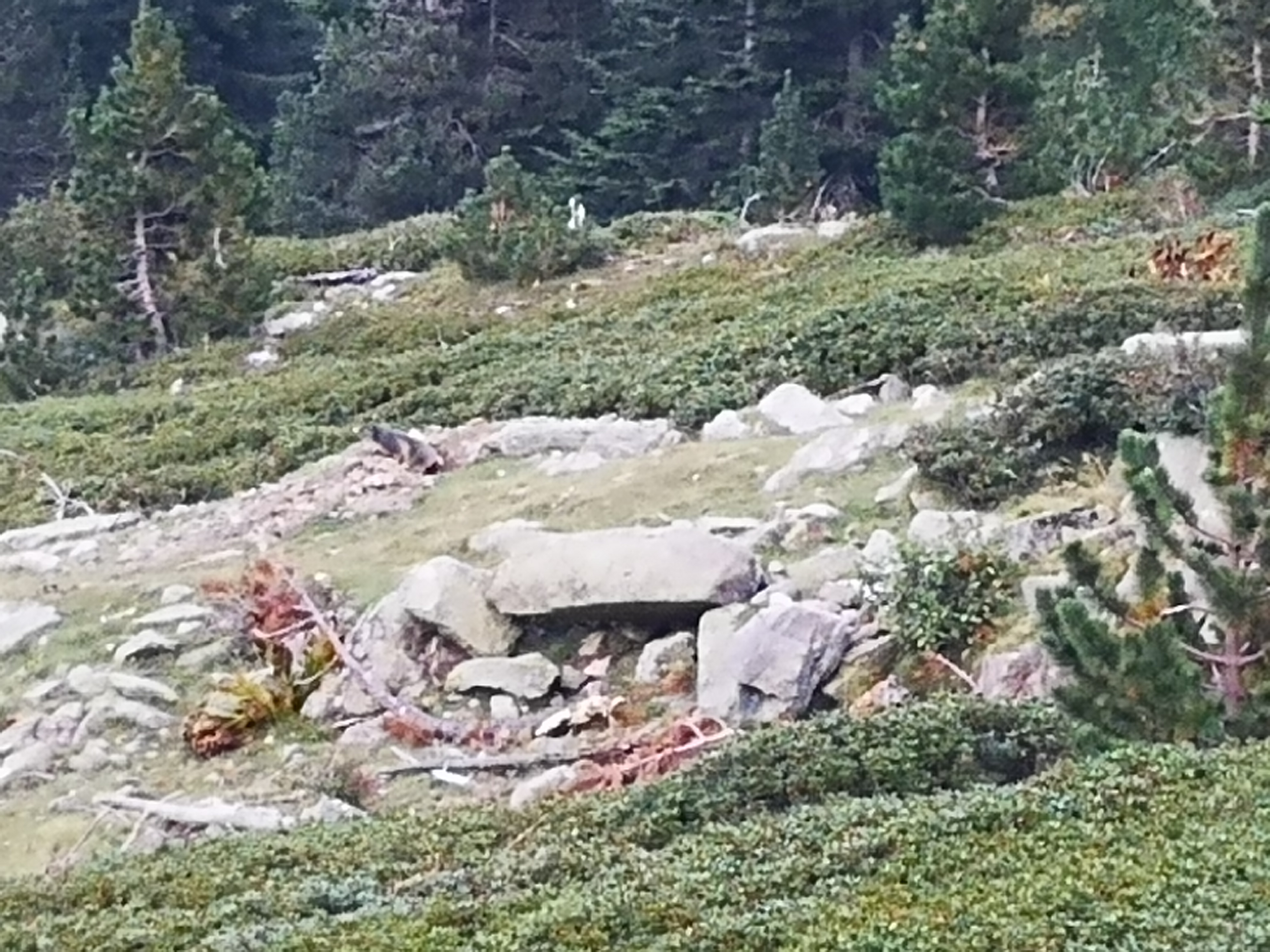 Photo n° 1 de l'avis de Vintage.T fait le 13/09/2018 à 11:39