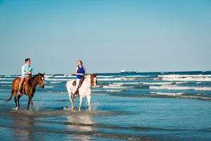 East Beach (R.A. Apffel) image