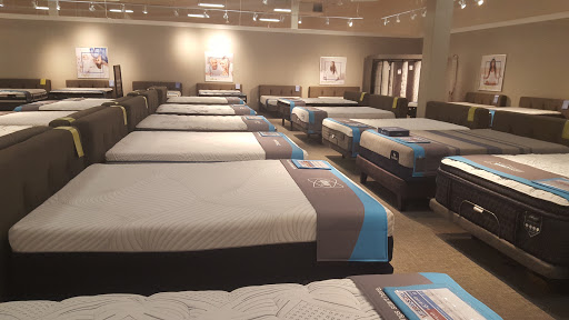 Furniture Store «Ashley HomeStore», reviews and photos, 2915 N Dale Mabry Hwy, Tampa, FL 33607, USA