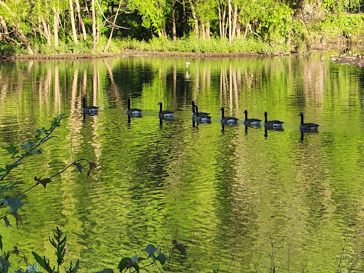 Park «Tibbetts Brook Park», reviews and photos, 355 Midland Ave, Yonkers, NY 10704, USA