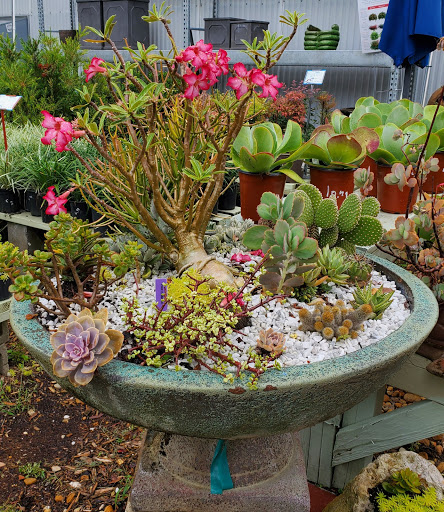 Hardware Store «Hagan Ace Hardware», reviews and photos, 12501 San Jose Blvd, Jacksonville, FL 32223, USA