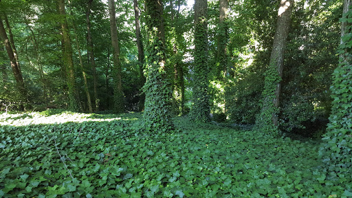 Park «Little Nancy Creek Park», reviews and photos, 4012 Peachtree Dunwoody Rd, Atlanta, GA 30342, USA