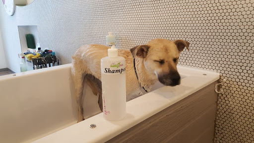 Pet Groomer «Bubbly Paws Dog Wash & Grooming», reviews and photos, 949 Grand Ave, St Paul, MN 55105, USA