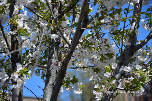 Park «Van Der Donck Park», reviews and photos, 41 Dock St, Yonkers, NY 10701, USA